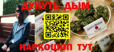 сатива Кунгур