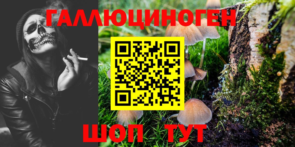 Галлюциногенные грибы Psilocybe  Вход с VPN  Зеленокумск 